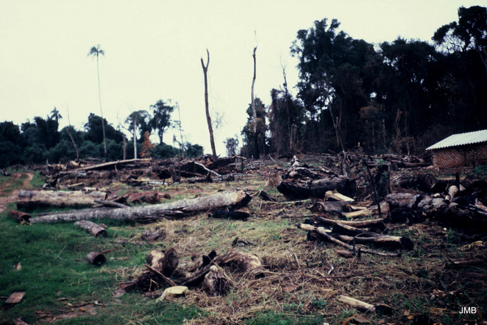 AÑO 1984 - COLOR - VIDA CAMPESINA EN PARAGUAY (JOSÉ MARÍA BLANCH)